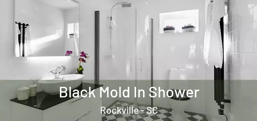 Black Mold In Shower Rockville - SC