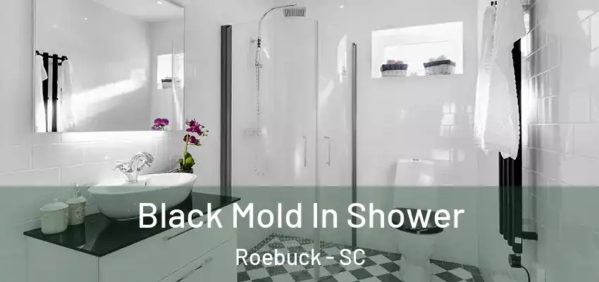 Black Mold In Shower Roebuck - SC