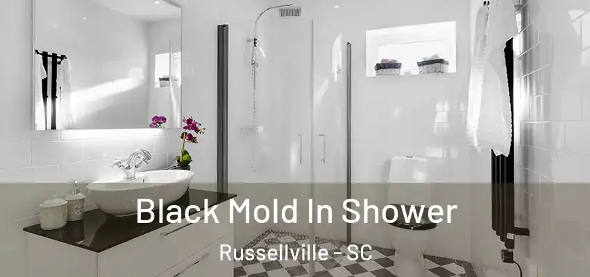 Black Mold In Shower Russellville - SC
