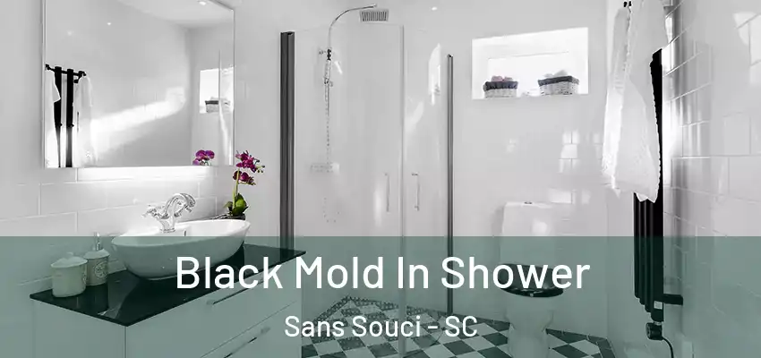  Black Mold In Shower Sans Souci - SC