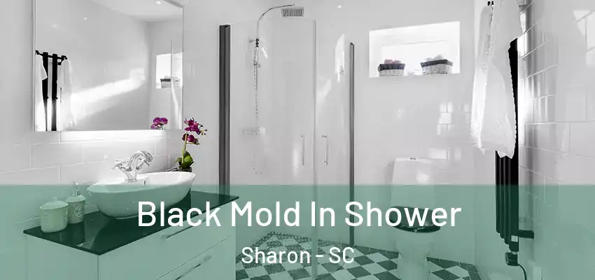 Black Mold In Shower Sharon - SC
