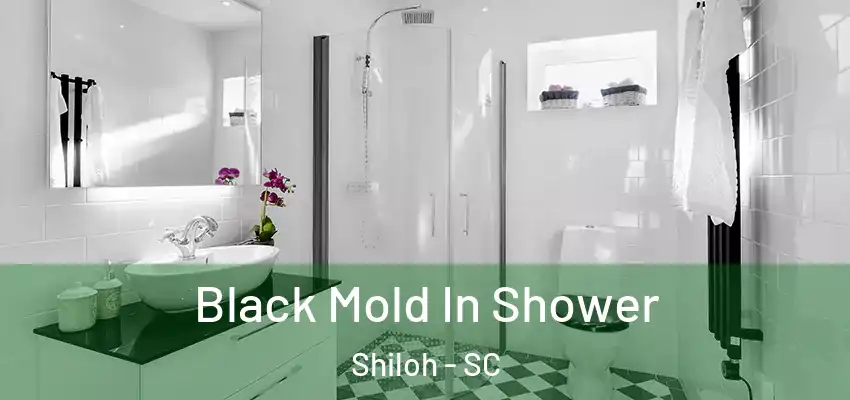 Black Mold In Shower Shiloh - SC
