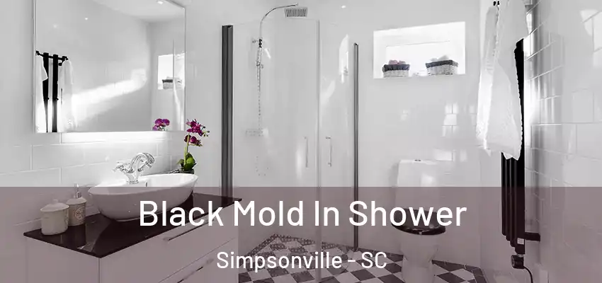 Black Mold In Shower Simpsonville - SC