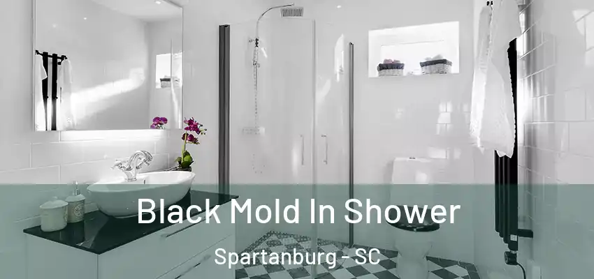 Black Mold In Shower Spartanburg - SC