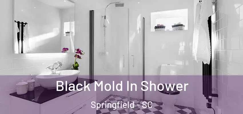 Black Mold In Shower Springfield - SC