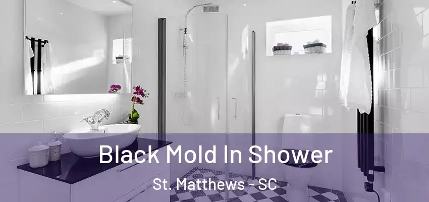  Black Mold In Shower St. Matthews - SC
