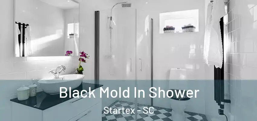 Black Mold In Shower Startex - SC