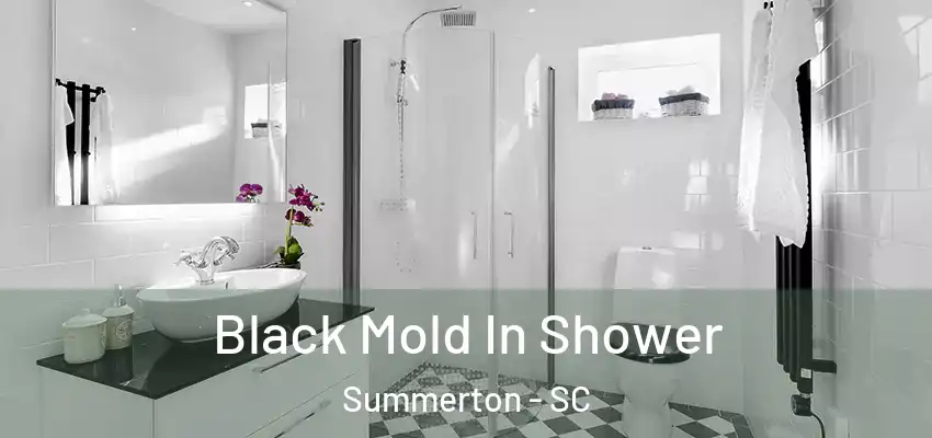 Black Mold In Shower Summerton - SC