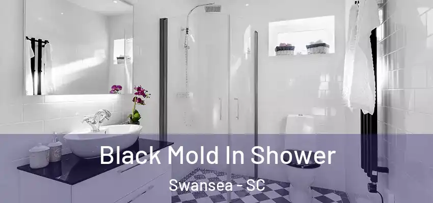 Black Mold In Shower Swansea - SC
