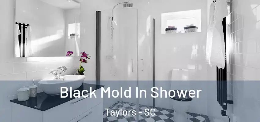  Black Mold In Shower Taylors - SC