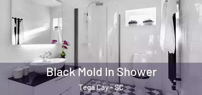 Black Mold In Shower Tega Cay - SC