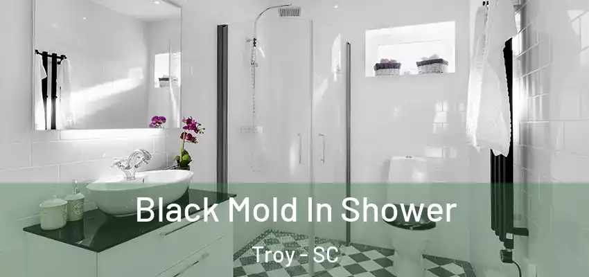  Black Mold In Shower Troy - SC