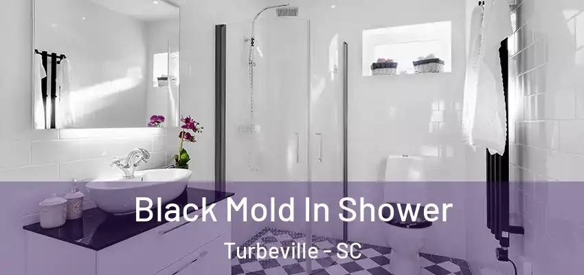 Black Mold In Shower Turbeville - SC