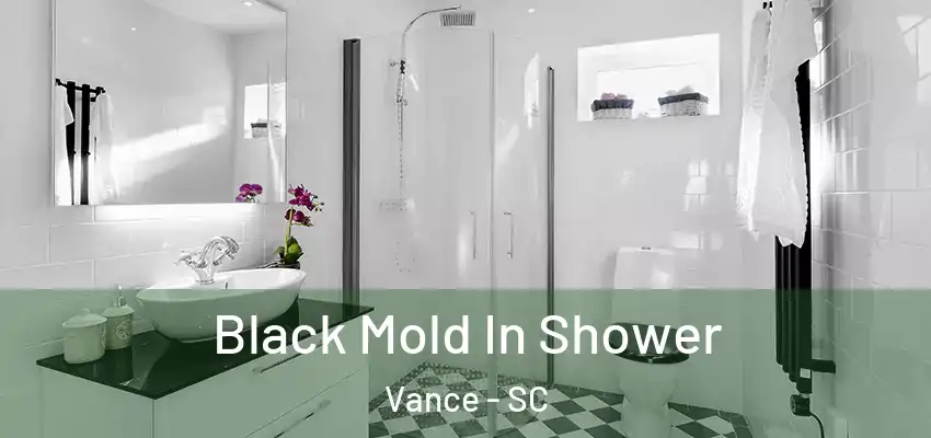 Black Mold In Shower Vance - SC