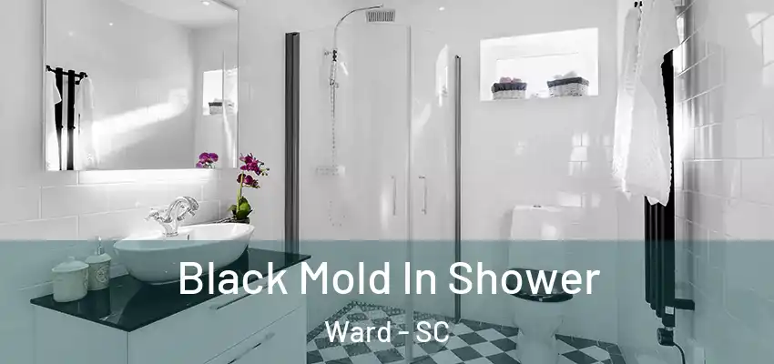  Black Mold In Shower Ward - SC
