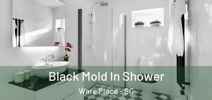 Black Mold In Shower Ware Place - SC