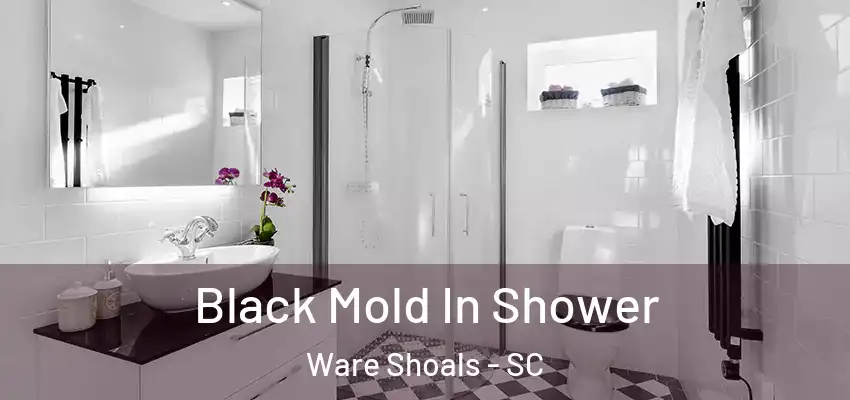 Black Mold In Shower Ware Shoals - SC