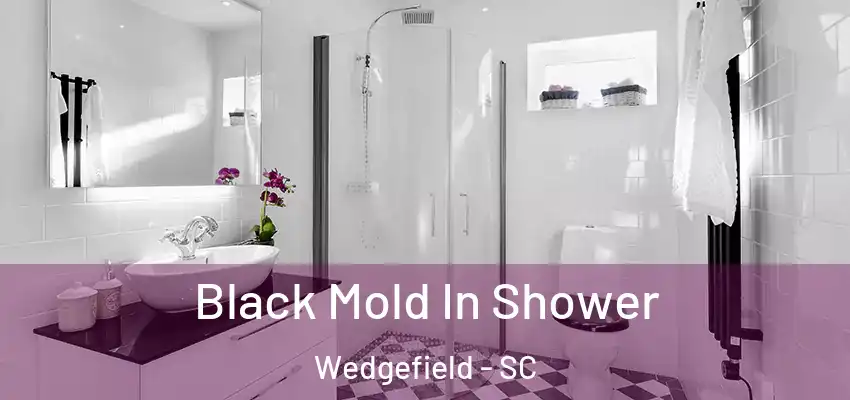 Black Mold In Shower Wedgefield - SC