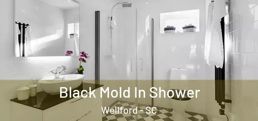  Black Mold In Shower Wellford - SC