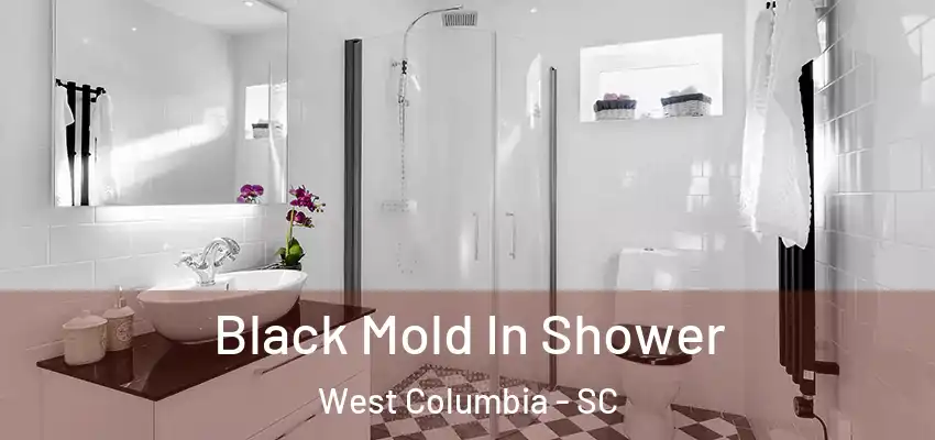 Black Mold In Shower West Columbia - SC