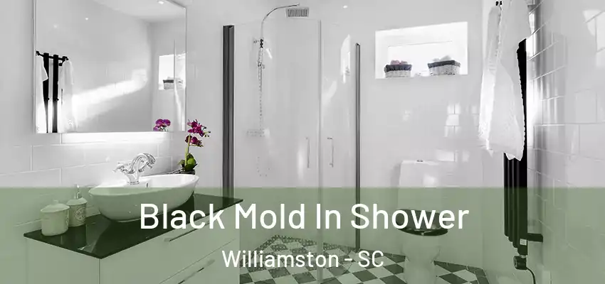  Black Mold In Shower Williamston - SC