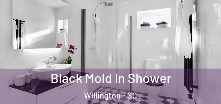  Black Mold In Shower Willington - SC