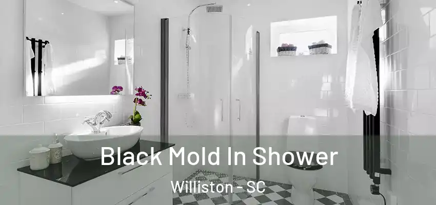  Black Mold In Shower Williston - SC