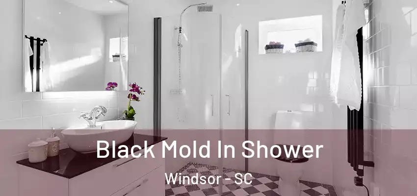  Black Mold In Shower Windsor - SC