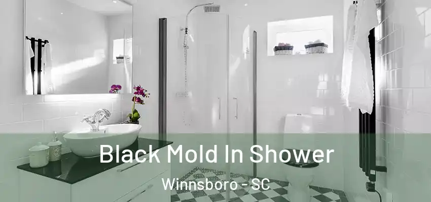  Black Mold In Shower Winnsboro - SC