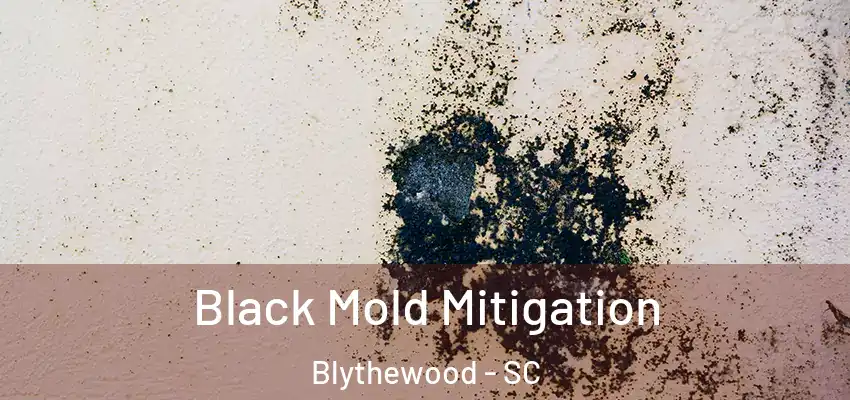  Black Mold Mitigation Blythewood - SC