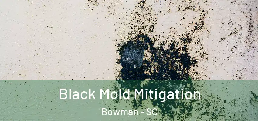 Black Mold Mitigation Bowman - SC