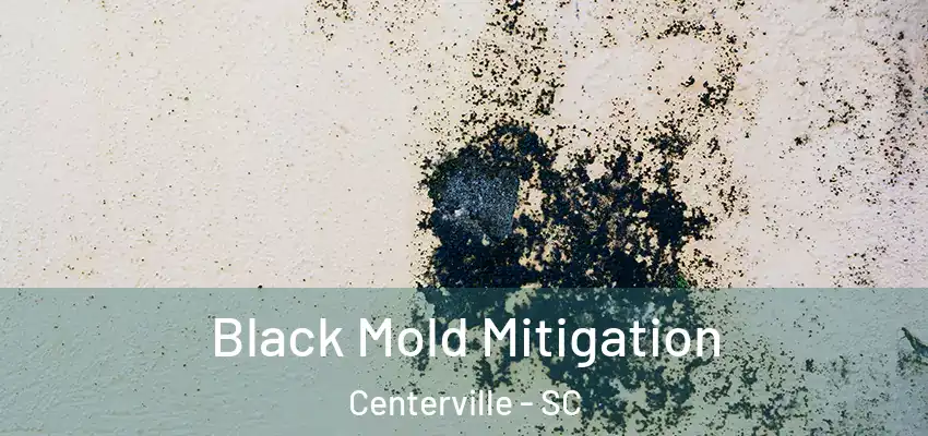 Black Mold Mitigation Centerville - SC