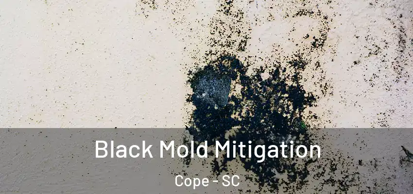 Black Mold Mitigation Cope - SC