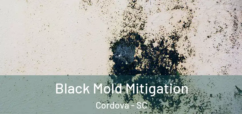  Black Mold Mitigation Cordova - SC