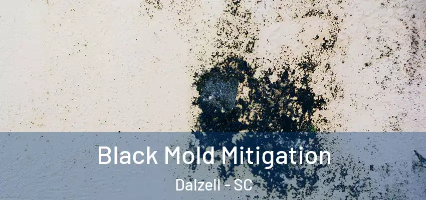 Black Mold Mitigation Dalzell - SC