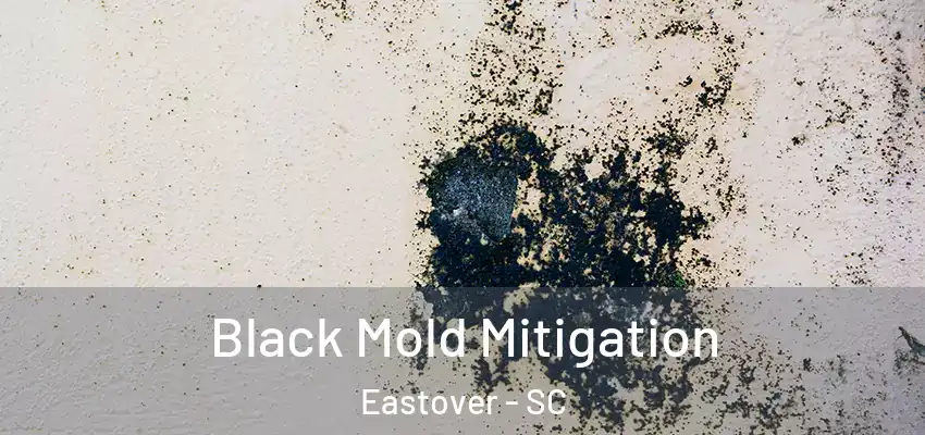 Black Mold Mitigation Eastover - SC