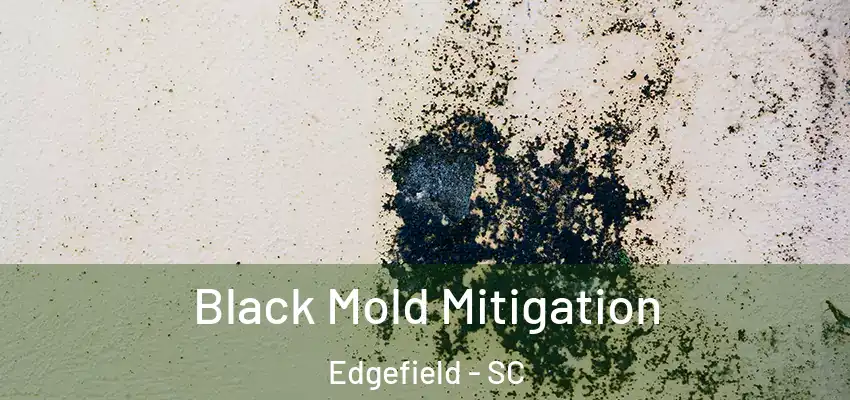 Black Mold Mitigation Edgefield - SC