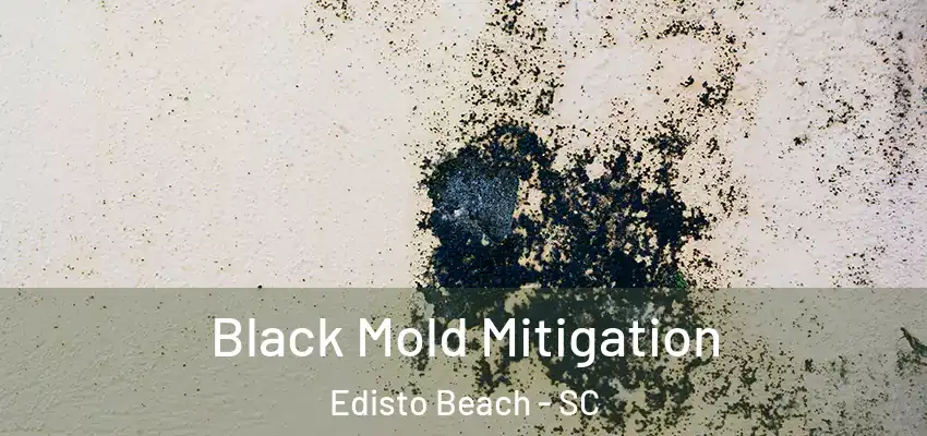  Black Mold Mitigation Edisto Beach - SC
