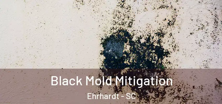  Black Mold Mitigation Ehrhardt - SC