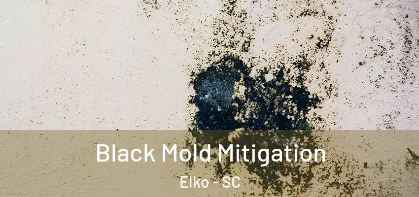  Black Mold Mitigation Elko - SC