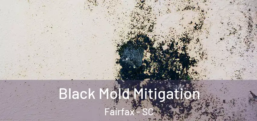 Black Mold Mitigation Fairfax - SC
