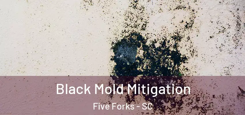  Black Mold Mitigation Five Forks - SC