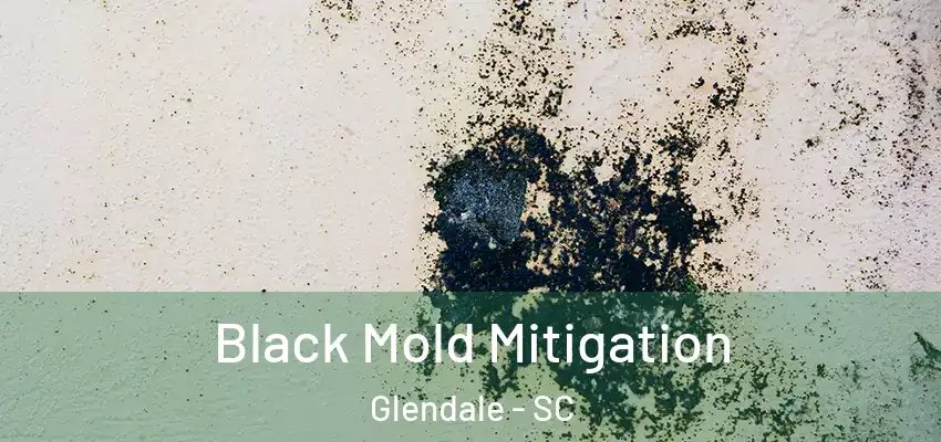  Black Mold Mitigation Glendale - SC