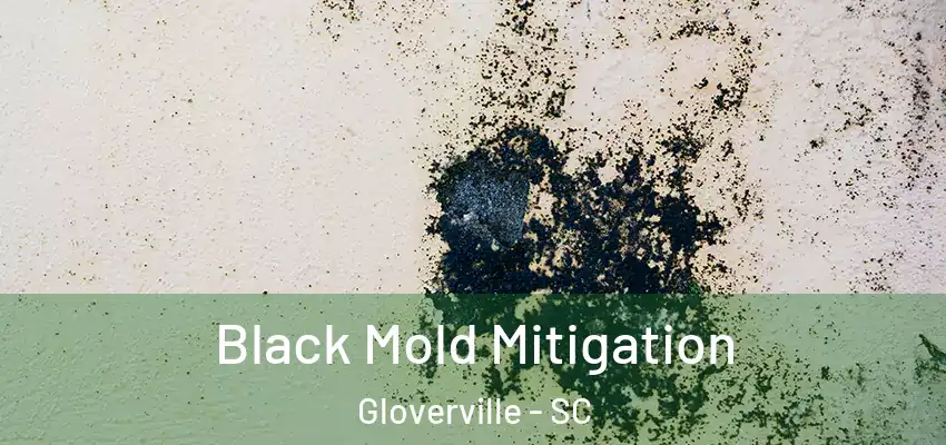  Black Mold Mitigation Gloverville - SC