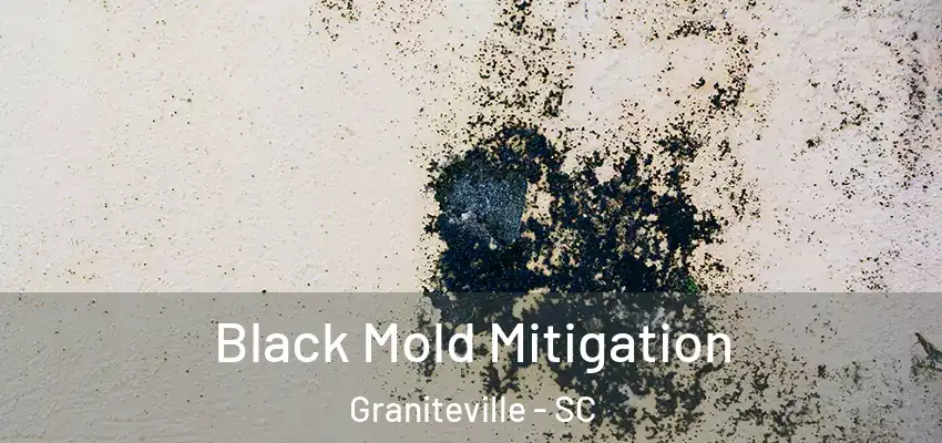  Black Mold Mitigation Graniteville - SC