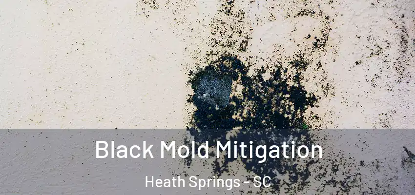 Black Mold Mitigation Heath Springs - SC