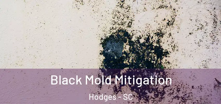  Black Mold Mitigation Hodges - SC