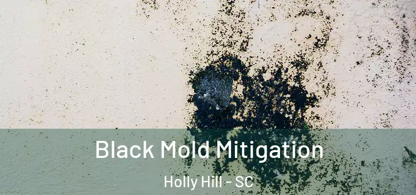  Black Mold Mitigation Holly Hill - SC