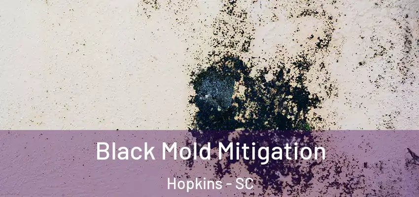  Black Mold Mitigation Hopkins - SC