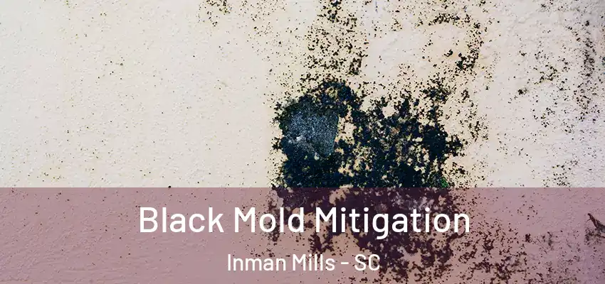  Black Mold Mitigation Inman Mills - SC